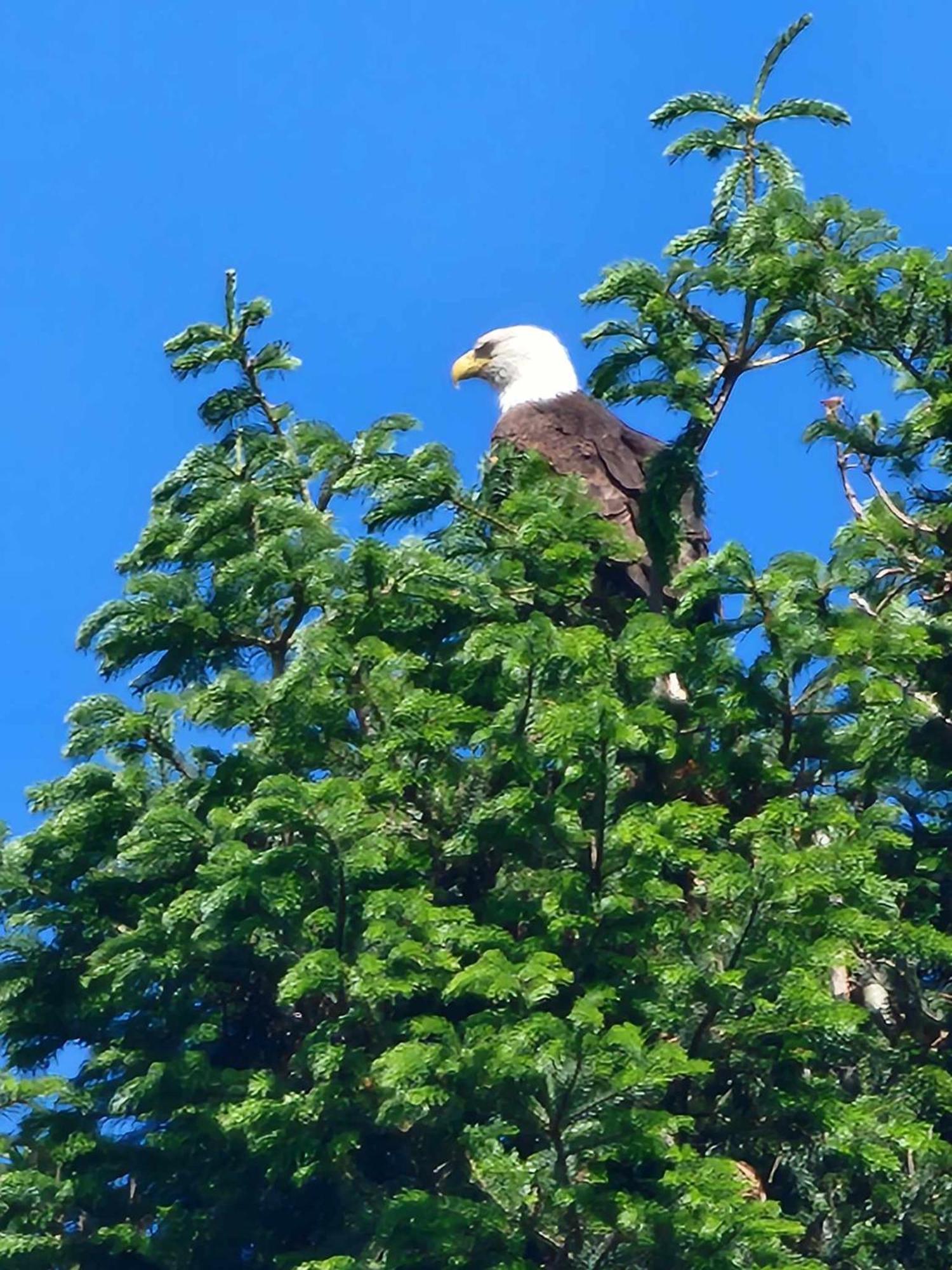 Campbell River Lodge 3*